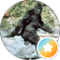 Steve H Avatar
